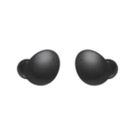 Galaxy Buds2 Graphite