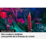 55" Téléviseur Crystal UHD BU8000 – Image 7